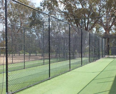 Cricket fencing
