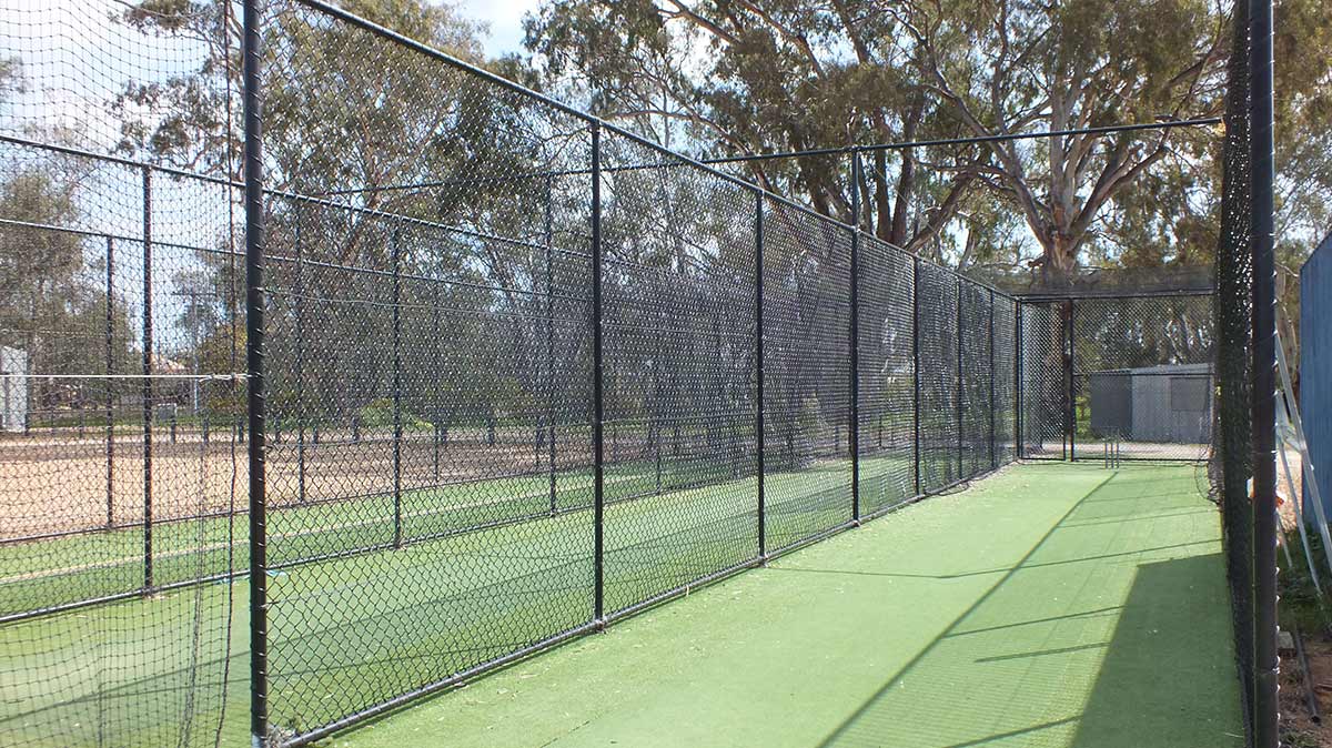 Cricket fencing